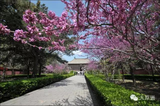 金庸远去，盘点大师笔下的山西圣地