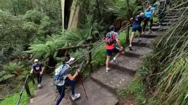 全澳第一！全球前三！墨尔本当选旅友心中最佳旅游城市！