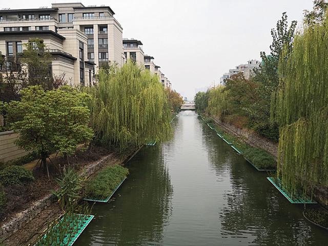 生态治理的跃进渠变清了，未来一有污染会自动报警