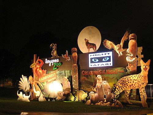 新加坡夜间动物园，带给你不一样的体验！