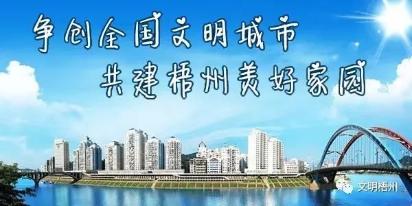 梧州宝石节各项活动准备就绪，你最期待哪一项？