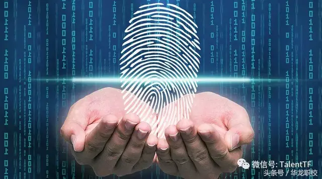 天赋智能检测的科学原理你真的了解吗？