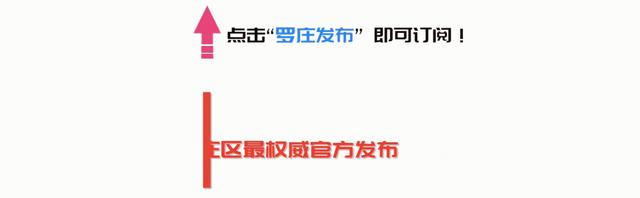 快看！罗庄这个“宝贝疙瘩”在全省出名了，受到省委书记、省长的夸赞······