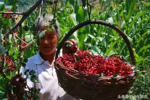 「旅游时讯」甘肃省唯一一个火星模拟生存基地亮相金昌