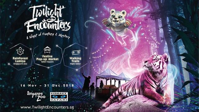 新加坡夜间动物园开启夜间圣诞之旅！