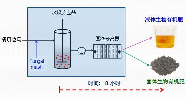 餐厨垃圾变能源！淮师大教授助力这一技术在中国落地！