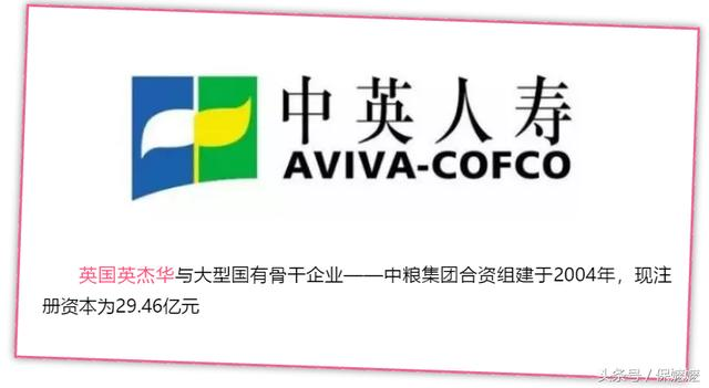小保险公司？你怕不认识他们的母公司是谁（转载自保嬷嬷）