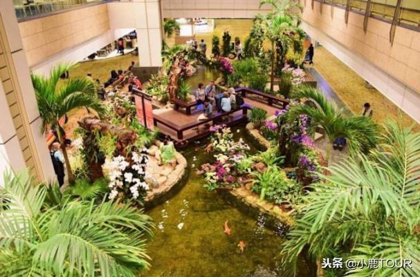 新加坡机场为何能世界排名第一？
