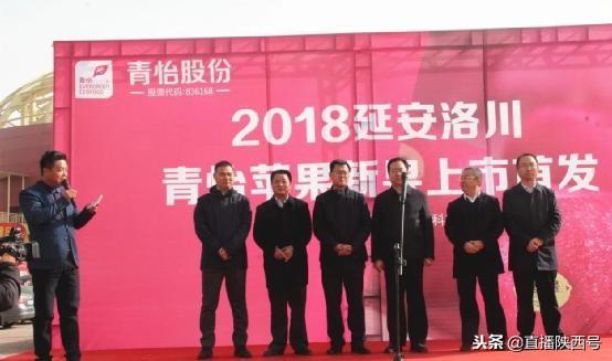 洛川苹果首发：250吨苹果将销往新加坡、北京、上海、广州等地