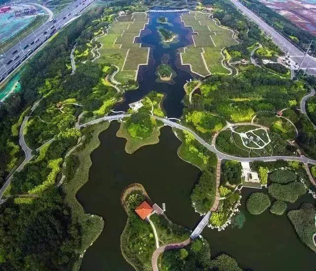 大绿大水大花园 绘就醉美津南风景线