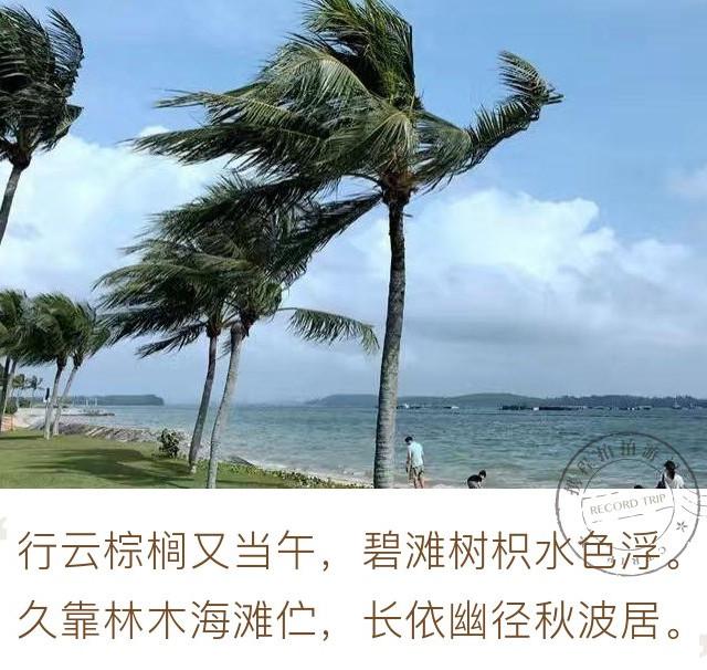 瓜分10000元 新加坡巴西立海滩
