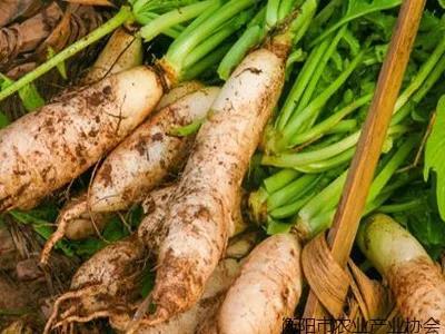 骄傲！衡阳有这么多产品获国家地标认证！你都吃过吗？