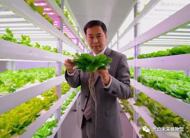 亲自探访“植物工厂”，带你解读新绿化新农业的最前沿科技