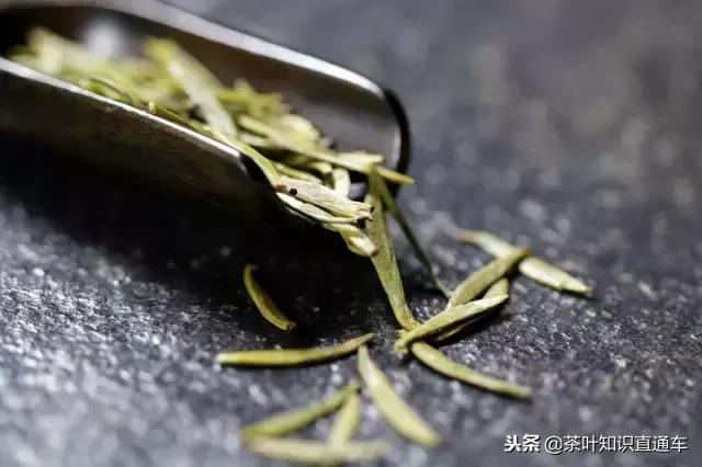 绿茶的16个冷知识