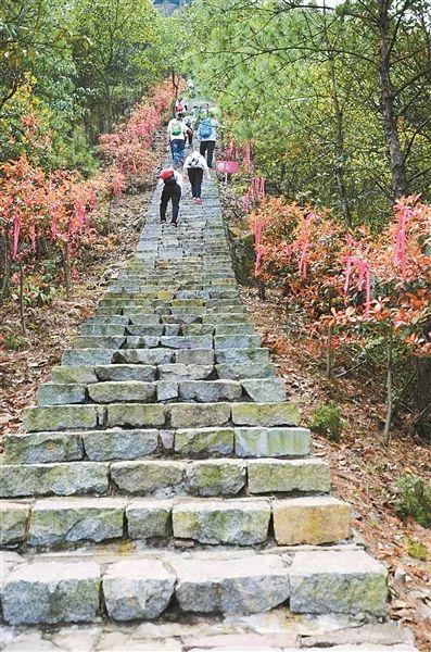 太美了！余姚这条绿道上榜宁波“十大绿道”啦，你去走过吗？