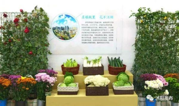 沭阳农产品惊艳亮相上海，实力“抢镜”~