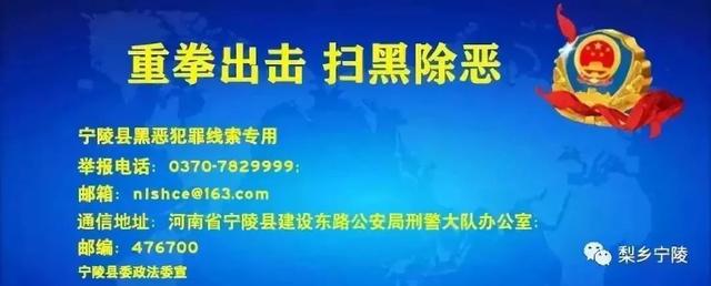 首届中国宁陵（国际）白蜡杆艺术设计大赛启动仪式暨助力武术入奥全球第四十一场百万人签名活动在我县举行