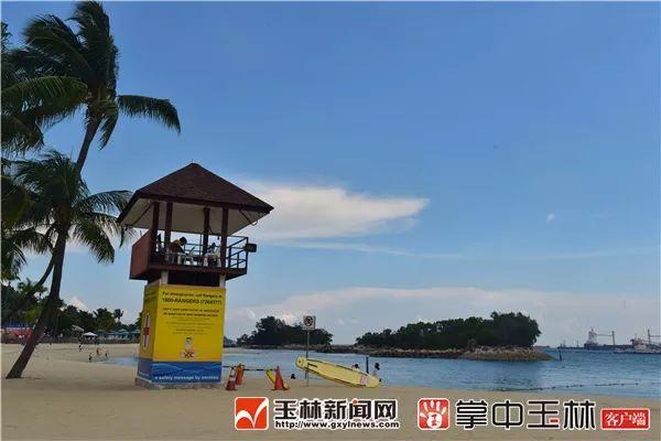 「“寻踪·下南洋”第2季」心系故土的新加坡华侨华人