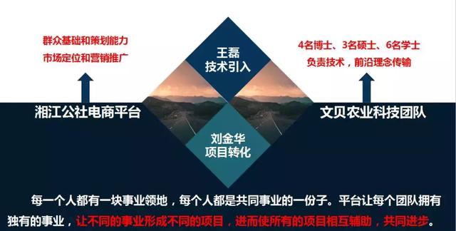 衡阳莲湖湾｜构建聚才引智新格局，促进星创天地大发展