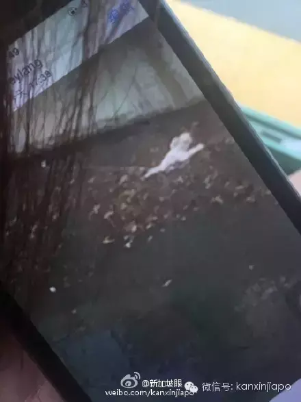 新加坡一天内出现两具浮尸