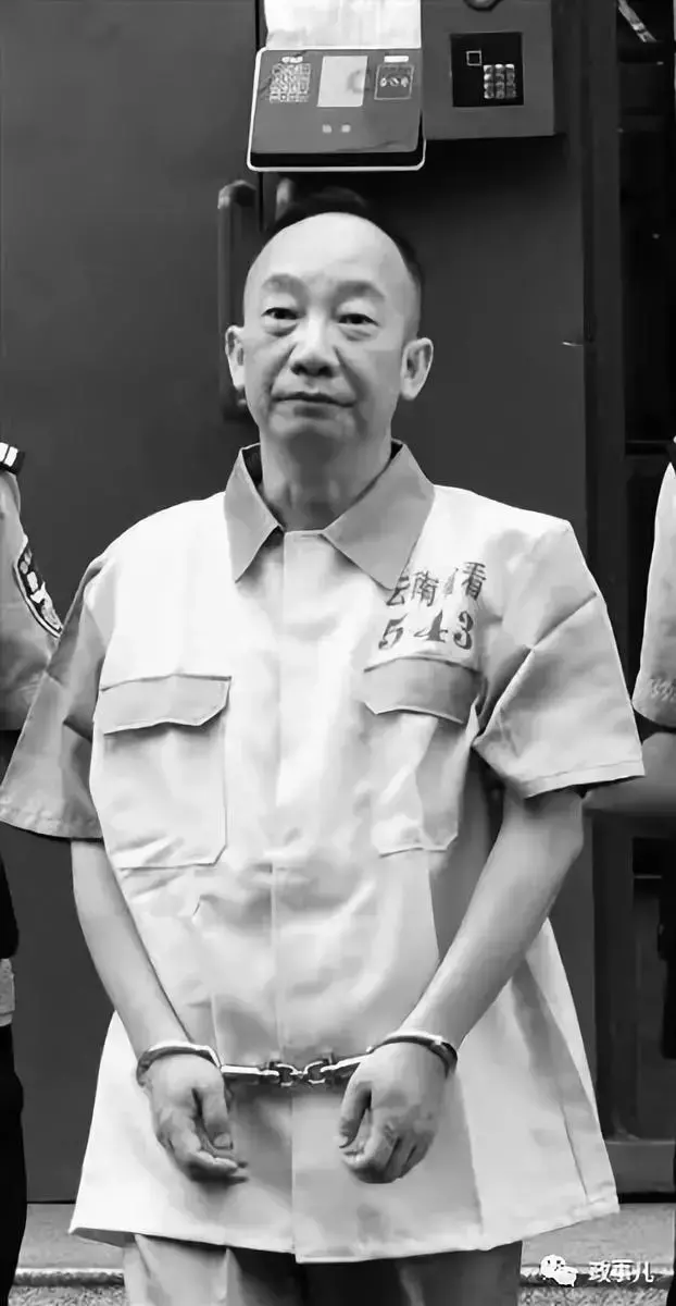 大学校长贪腐被A级通缉，吃20片安眠药自杀未成，药过期失效了