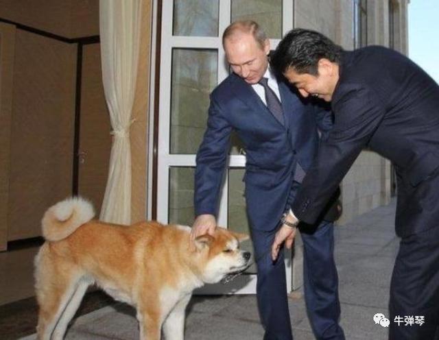 安倍很无奈！这次在新加坡，还是着了普京的道