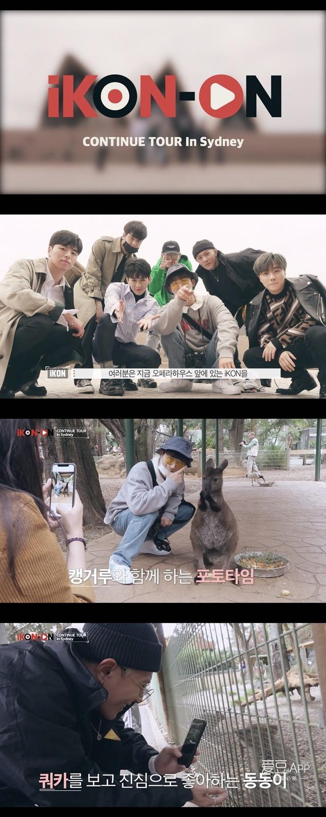 「iKON」「新闻」181117 iKON公开澳洲旅行视频 悉尼动物园小插曲