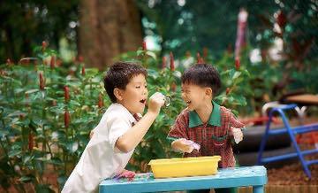 新加坡幼儿园体验式教学，让孩子们走出课本感受大自然