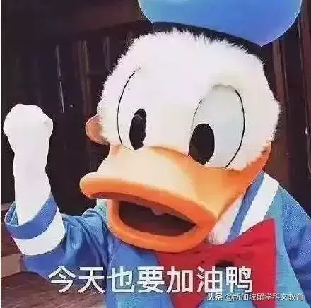 新加坡留学｜想进新加坡政府中小学？科文教育给你绝招！