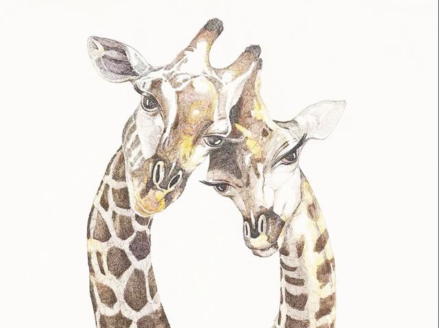 明明可以靠脸却要拼才华，央美才女的钢笔画，再一次被刷屏！