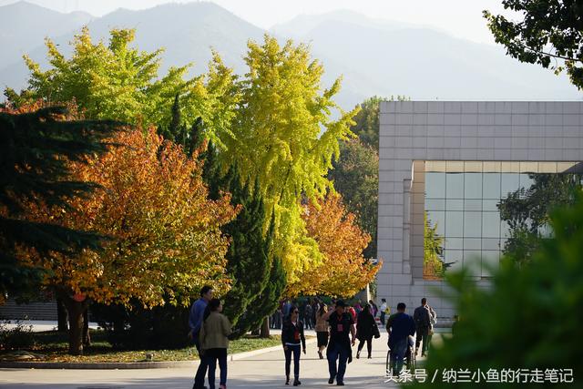 游客太多会对文物造成危害 保护秦始皇陵兵马俑，我们能做些什么？