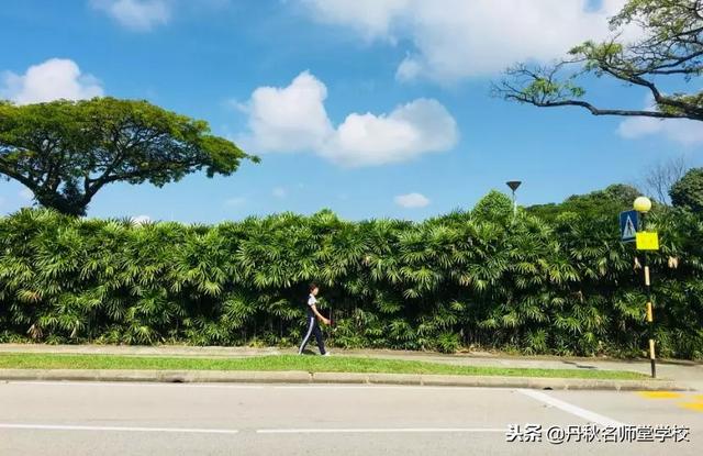 “新之所向，徜徉狮城”丹秋第一批卓越团队新加坡游学之旅