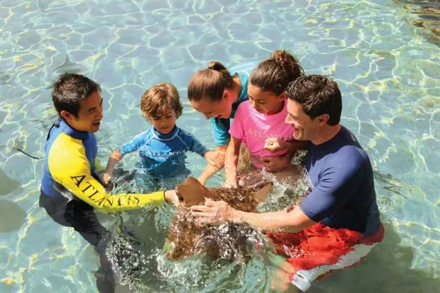 亚特兰蒂斯喜提“引领前沿奖”！水族馆、水世界必玩项目全攻略！