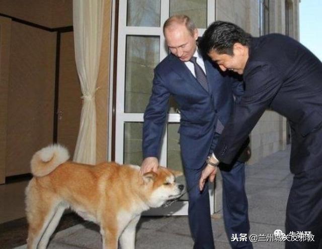 安倍很无奈！这次在新加坡，还是又着了普京的道
