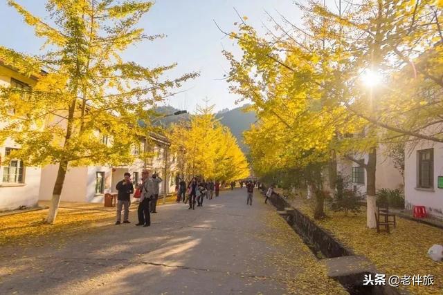 拒绝“猫冬”！12月国内外最值得去的旅行地推荐，错过等一年！