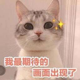 颜控的福音来啦！今后身份证相片可重拍3次