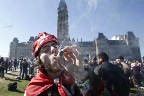 中国人要小心了！加拿大旅游公司推出“大麻游”