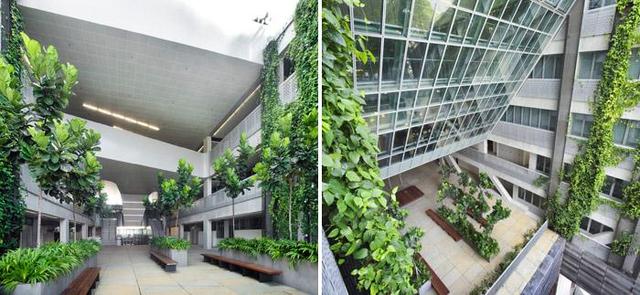 新加坡国宝级设计师WOHA，这才是花园城市的正确打开方式！