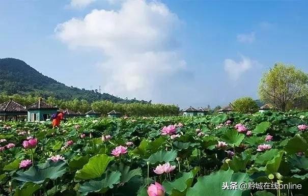 今年就可以用了！2019锦绣江山旅游年票部分景区提前开放名单！