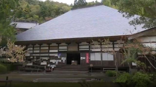 日本寺庙为野兔建观音像，六米高兔佛眼泛红光，路人半夜受惊吓！