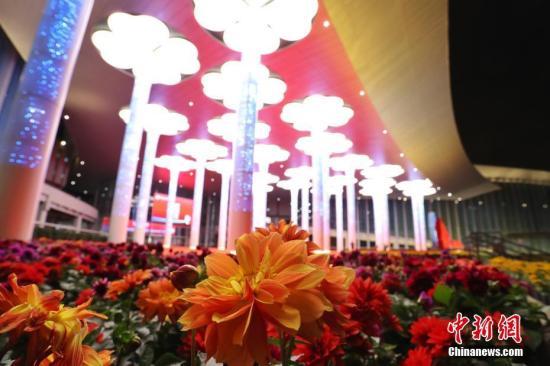 王炳南：欢迎中新两国企业利用进博会推动全球服务贸易发展