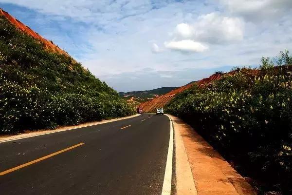 昆明-磨憨-老挝，春节最火的跨境自驾旅行路线，一路美到哭！