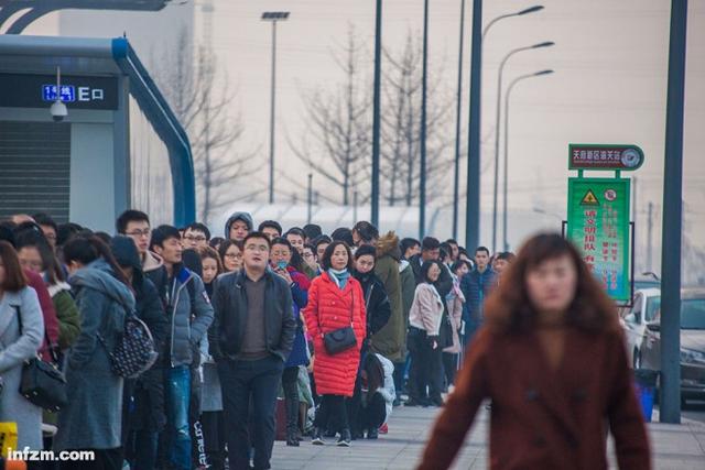 “国际竞争力人才强市” 成都求“新熊猫”