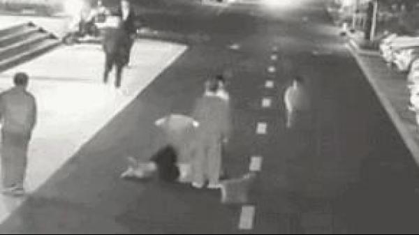 狗子不背这个锅！狗主们快来学学如何文明养狗吧！