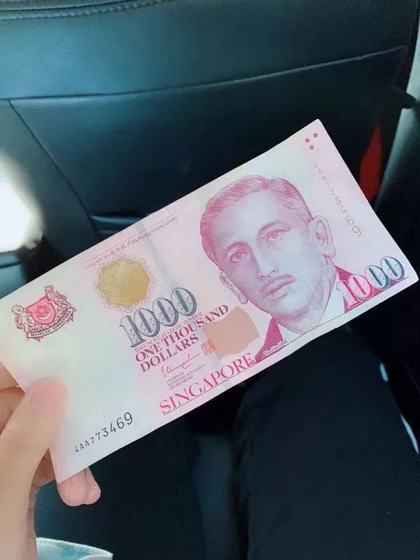 刘竞新加坡带娃游（不完美篇）