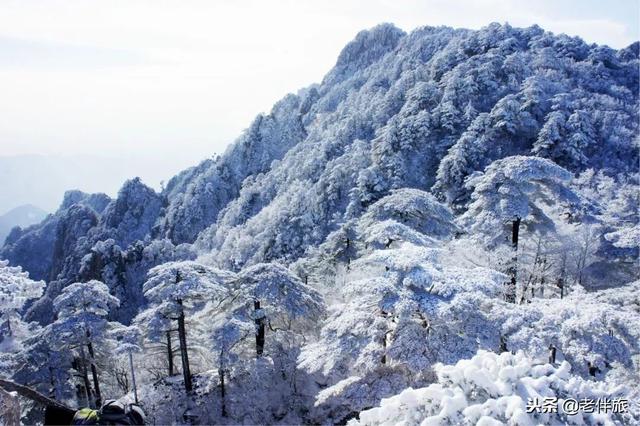 拒绝“猫冬”！12月国内外最值得去的旅行地推荐，错过等一年！