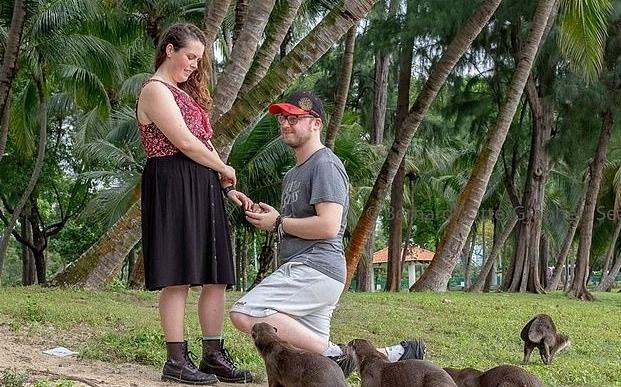 英国小伙求个婚，观众竟是一群海豹！