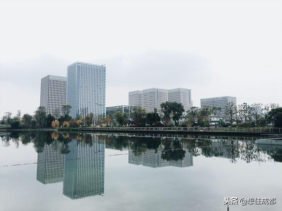 新加坡“鱼尾狮”落地成都新川，这里的发展细节看得见