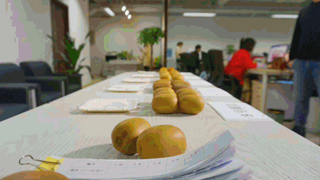 中国首份猕猴桃产区品质测评报告