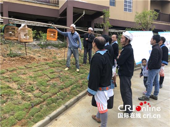 中国广西各族民众共同谱写繁荣发展欢乐颂